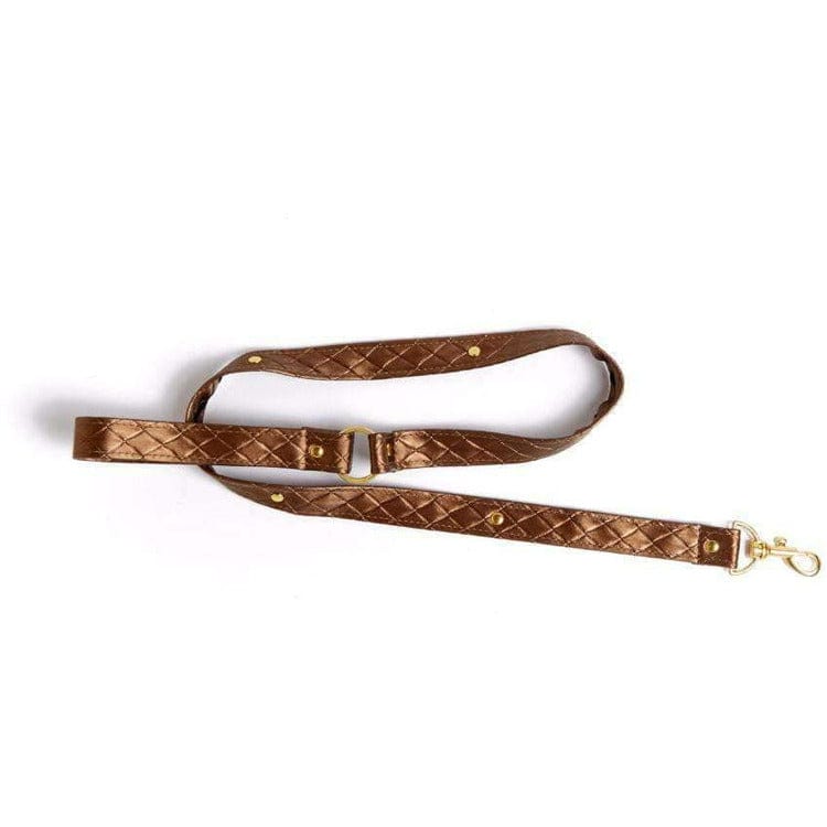 DARLING PET COLLAR WITH LEASH - Bossy Lingerie Boutique