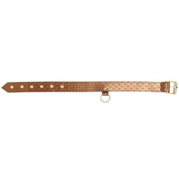 DARLING PET COLLAR WITH LEASH - Bossy Lingerie Boutique