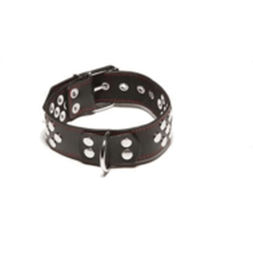 RIVETED COLLAR WITH D RING.